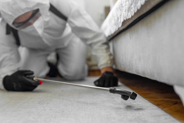Professional Ant Control technician working in Underwood-Petersville, AL