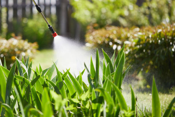 24/7 Emergency Ant Control experts in Underwood-Petersville, AL