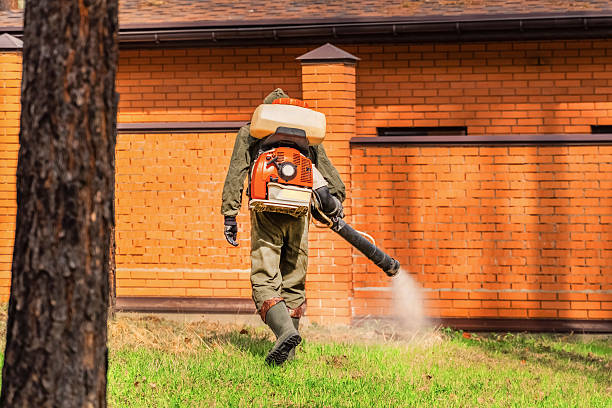 Trusted Mosquito Control service in Underwood-Petersville, AL - Nex Pest Control